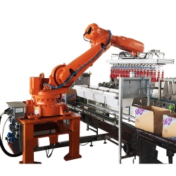 Robot Pick Up Bottle