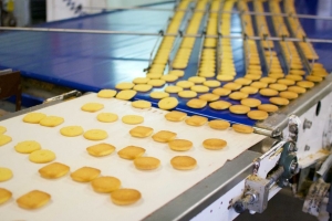 BELT CONVEYOR SYSTEM