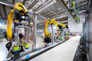 CASE PACKER SYSTEM