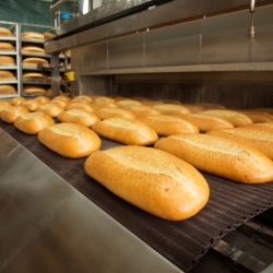 Oven Chain Conveyor